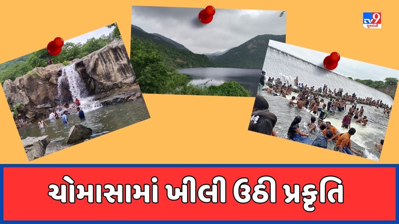 Banaskantha : ચોમાસામાં અંબાજી આસપાસ ખીલી ઉઠ્યુ કુદરતી સૌંદર્ય, પાણિયારી ધોધની મજા માણવા ઉમટ્યા પ્રવાસીઓ, જૂઓ Video Banaskantha : ચોમાસામાં અંબાજી આસપાસ ખીલી ઉઠ્યુ કુદરતી સૌંદર્ય, પાણિયારી ધોધની મજા માણવા ઉમટ્યા પ્રવાસીઓ, જૂઓ Video