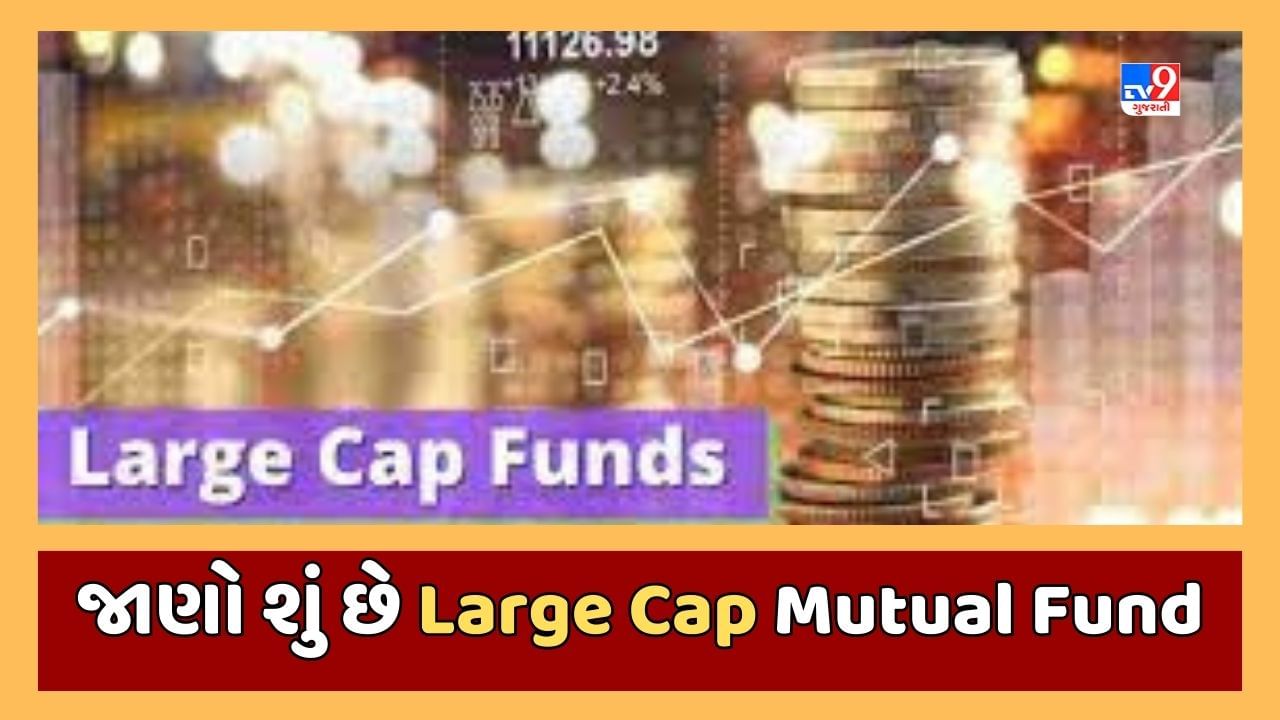 Sabka Sapna Money Money : Large Cap Mutual Fund શું છે ? જાણો કેવી રીતે આપશે સુરક્ષિત અને સારુ રિટર્ન