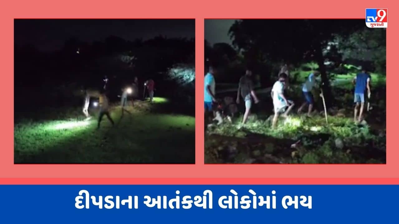 Gujarati video : નવસારીના મોલધરા ગામમાં દીપડાના આતંકથી લોકોમાં ભય, પશુઓને બચાવવા લોકો કરે છે રાત ઉજાગરા