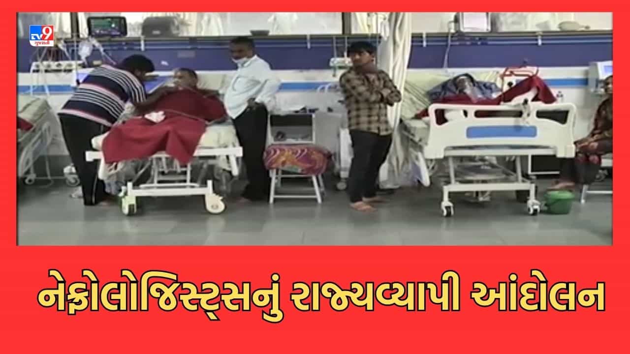 Gujarati Video: સોમવારથી 3 દિવસ રાજ્યભરમાં નહીં થાય કોઈપણ સ્થળે ડાયાલિસિસ, PMJAY યોજના હેઠળ ફી ઘટતા નેફ્રોલોજીસ્ટ કરશે આંદોલન