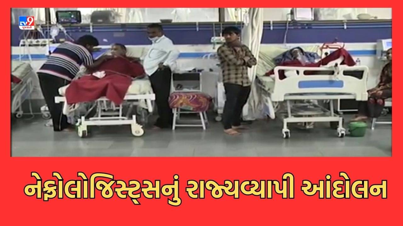 Gujarati Video: સોમવારથી 3 દિવસ રાજ્યભરમાં નહીં થાય કોઈપણ સ્થળે ડાયાલિસિસ, PMJAY યોજના હેઠળ ફી ઘટતા નેફ્રોલોજીસ્ટ કરશે આંદોલન