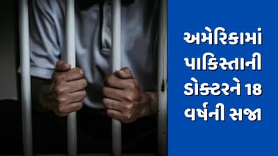New York: અમેરિકામાં પાકિસ્તાની ડોક્ટરને 18 વર્ષની સજા, ISISની મદદથી કરી રહ્યો હતો મોટા હુમલાનું પ્લાનિંગ