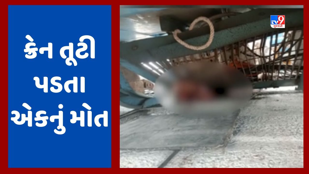 Breaking News : વડોદરાના કરજણના કંબોલા નજીક બુલેટ ટ્રેનની કામગીરી સમયે ક્રેન તૂટી પડી, એક શ્રમિકનું મોત