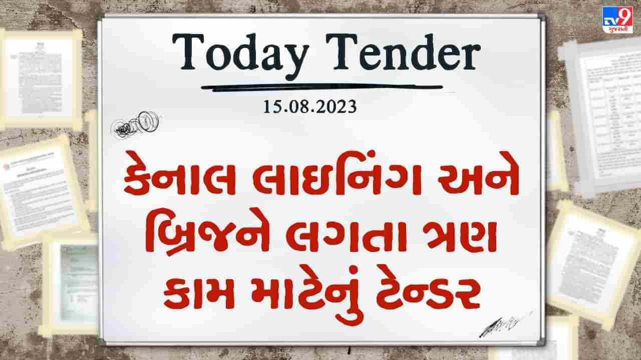 Tender Today : પેટલાદમાં કેનાલ લાઇનિંગ અને બ્રિજને લગતા ત્રણ કામ માટે લાખો રુપિયાનું ટેન્ડર જાહેર