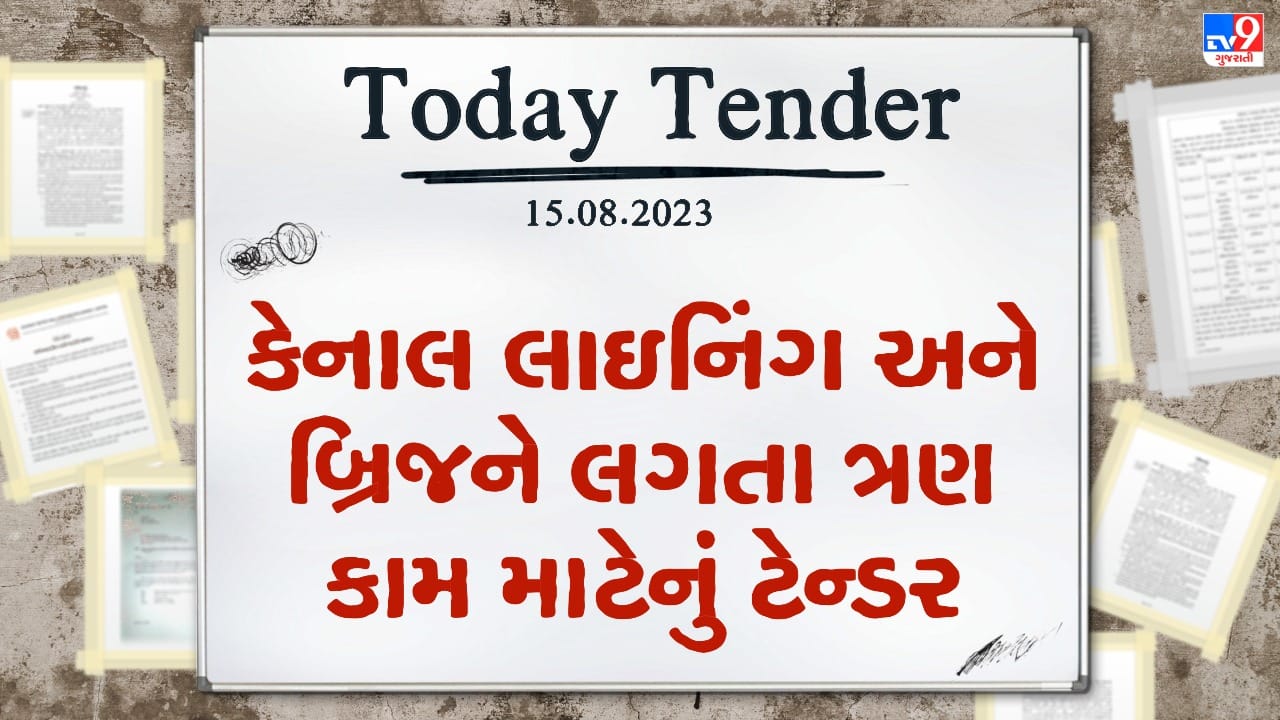 Tender Today : પેટલાદમાં કેનાલ લાઇનિંગ અને બ્રિજને લગતા ત્રણ કામ માટે લાખો રુપિયાનું ટેન્ડર જાહેર