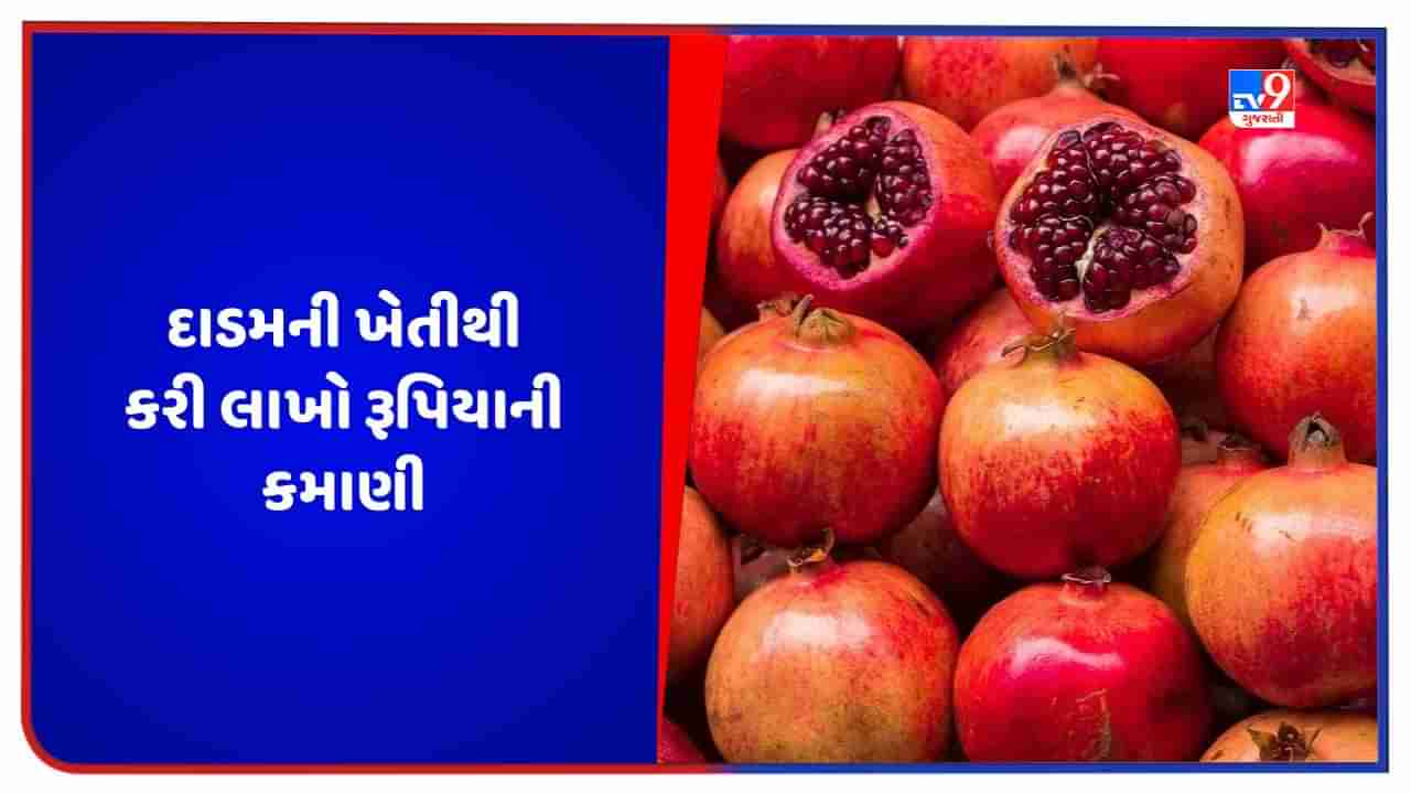 અભણ ખેડૂતે 15 લાખ રૂપિયાની લોન લઈને શરૂ કરી દાડમની ખેતી, આવી રીતે કરી 80 લાખ રૂપિયાની કમાણી