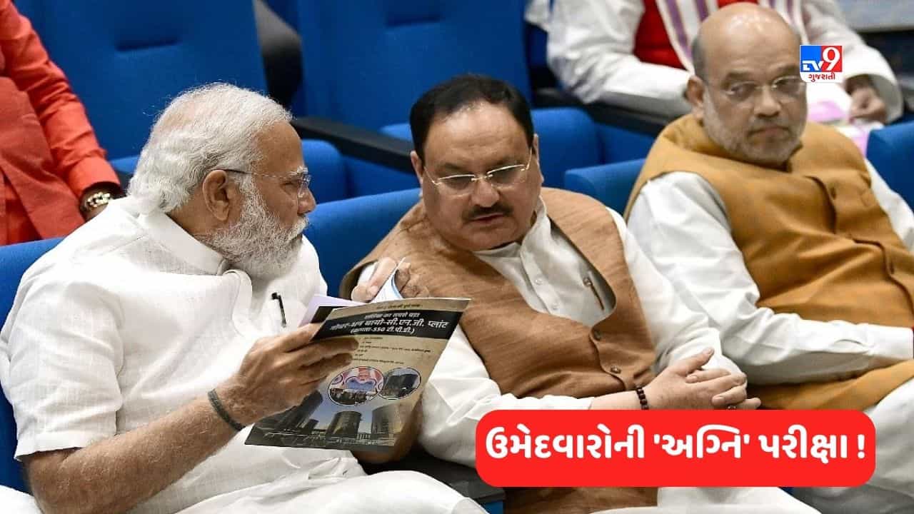 Loksabha Election 2024: ભાજપ 4 ચૂંટણી રાજ્યોનો સર્વે કરશે, 350 ધારાસભ્યોને સોંપવામાં આવી જવાબદારી, પ્રતિભાવના આધારે દરેક ટિકિટની ફાળવણી