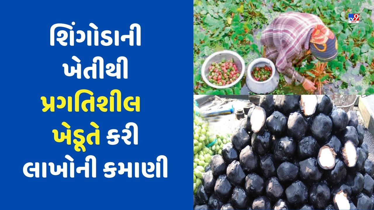 Success Story: બટાટા, ડુંગળી અને ટામેટા છોડીને ખેડૂતે શિંગોડાની ખેતી શરૂ કરી, હવે વર્ષે કમાય છે 15 લાખ