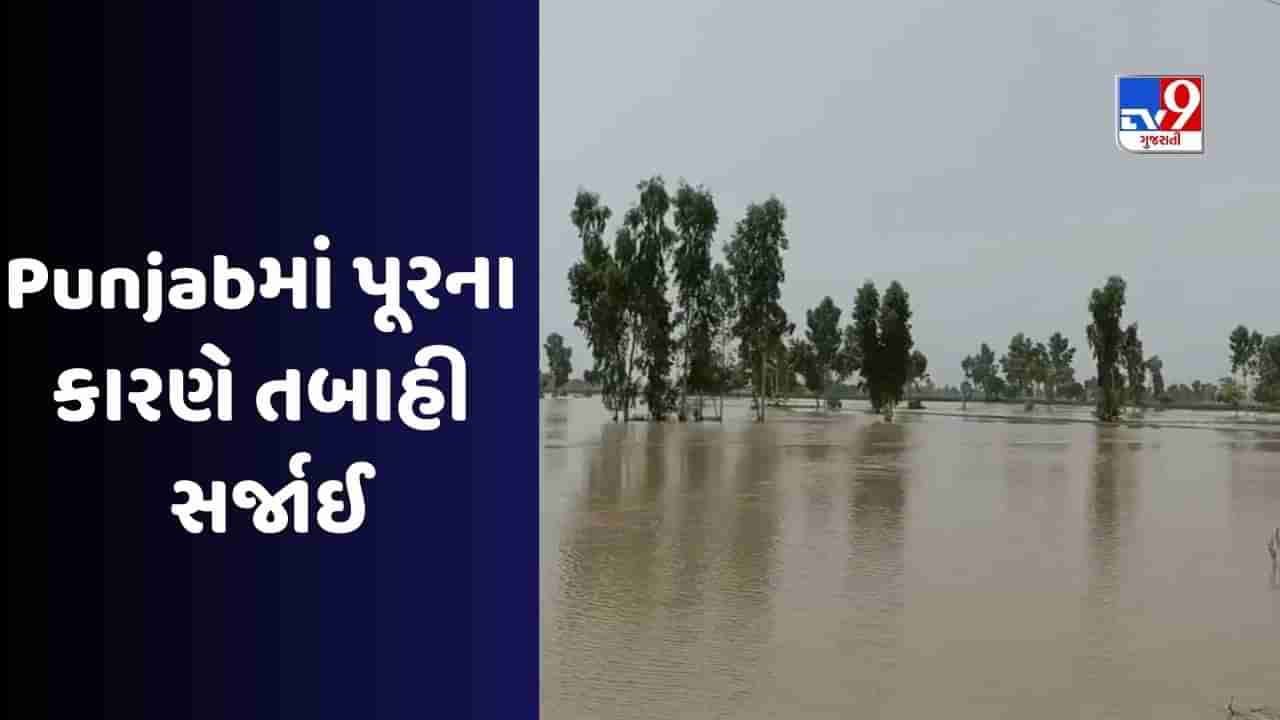 Punjab Flood: પંજાબના 9 જિલ્લામાં પૂરથી તબાહી, ભાખડામાંથી ફરી 66000 ક્યુસેક પાણી છોડાયું