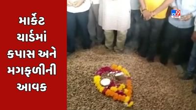 Rajkot Video : રાજકોટ માર્કેટ યાર્ડમાં નવી મગફળી અને કપાસની આવક, મગફળીનો ભાવ રૂ.1800 તેમજ કપાસનો ભાવ રૂ.1500 બોલાયો Rajkot Video : રાજકોટ માર્કેટ યાર્ડમાં નવી મગફળી અને કપાસની આવક, મગફળીનો ભાવ રૂ.1800 તેમજ કપાસનો ભાવ રૂ.1500 બોલાયો