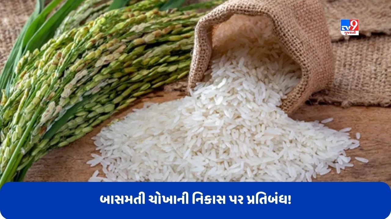 Rice Export: કેન્દ્ર સરકારનો મોટો નિર્ણય, ભારતમાંથી હવે બાસમતી ચોખાની નિકાસ પર પણ પ્રતિબંધ!