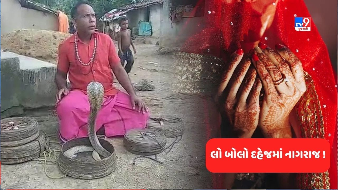 Ajab Gajab News: લો બોલો ગજબ છે આ ગામડાનો રિવાજ કે જ્યાં દહેજમાં ના બુલેટ બાઈક કે રોકડા, અપાય છે 'નાગરાજ' !