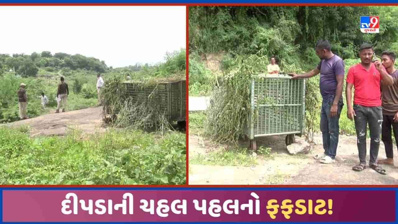 Sabarkantha: હિંમતનગર શહેરમાં એક સપ્તાહથી દીપડાનો ભય, પોલીસ હેડક્વાર્ટર અને ક્લેકટર નિવાસ નજીક ચહલપહલ!