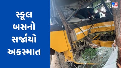 Breaking News : અડાલજ-ગાંધીનગર હાઈવે પર સ્કૂલ બસનો સર્જાયો અકસ્માત, બસ ડ્રાઈવરની હાલત ગંભીર, જુઓ Video Breaking News : અડાલજ-ગાંધીનગર હાઈવે પર સ્કૂલ બસનો સર્જાયો અકસ્માત, બસ ડ્રાઈવરની હાલત ગંભીર, જુઓ Video