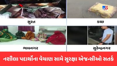 રાજ્યમાં નશીલા પદાર્થોના વેચાણ પર સુરક્ષા એજન્સીઓની બાજ નજર, જુઓ Video રાજ્યમાં નશીલા પદાર્થોના વેચાણ પર સુરક્ષા એજન્સીઓની બાજ નજર, જુઓ Video