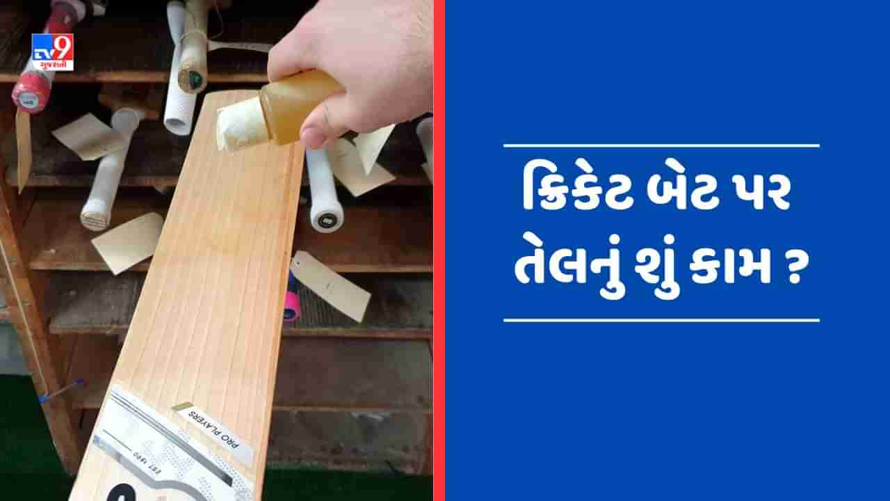 Knowledge : ક્રિકેટ બેટ પર કેમ લગાડવામાં આવે છે તેલ ? જાણો તેના કારણો અને સંપૂર્ણ પ્રોસેસ, જુઓ Video