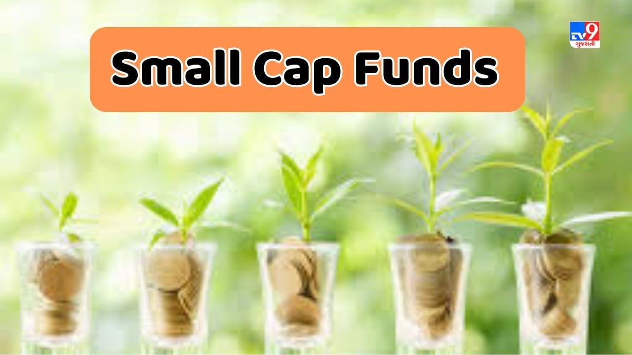 Sabka Sapna Money Money : Small Cap Funds શું છે ? તેમાં રોકાણ કરવુ જોખમી છે ? જાણો કેટલુ રિટર્ન મળશે
