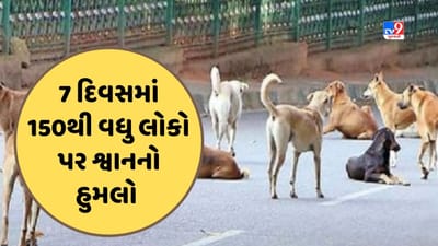 Gujarati Video : ડભોઈમાં રખડતા શ્વાનના આતંકથી લોકો ત્રાહિમામ, 7 દિવસમાં 150થી વધુ લોકોને રખડતા શ્વાન કરડયા