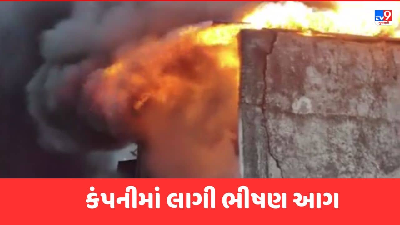 Surat Video: હરિયાલ GIDCમાં પોલિએસ્ટર યાર્ન બનાવતી કંપનીમાં લાગી ભીષણ આગ, શોર્ટ સર્કિટના કારણે આગ લાગી હોવાનું અનુમાન