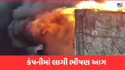 Surat Video: હરિયાલ GIDCમાં પોલિએસ્ટર યાર્ન બનાવતી કંપનીમાં લાગી ભીષણ આગ, શોર્ટ સર્કિટના કારણે આગ લાગી હોવાનું અનુમાન