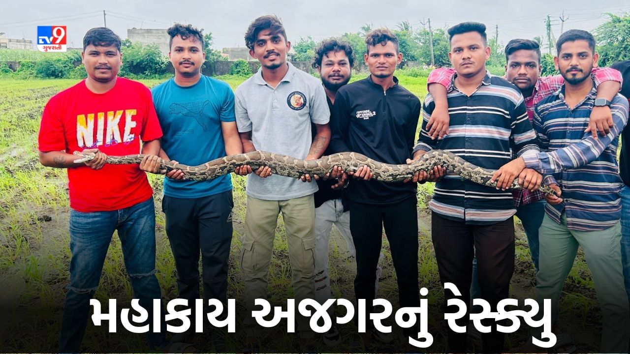 Surat: શેરડીના ખેતરમાંથી મહાકાય અજગરનું કરાયું રેસ્ક્યુ, જુઓ Video