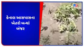 Surendranagar Video: ખેડૂતો માટે નર્મદાની માઇનોર કેનાલ આર્શીવાદને બદલે અભિષાપ બની, કેનાલ આસપાસના ખેતરો બન્યાં બંજર Surendranagar Video: ખેડૂતો માટે નર્મદાની માઇનોર કેનાલ આર્શીવાદને બદલે અભિષાપ બની, કેનાલ આસપાસના ખેતરો બન્યાં બંજર