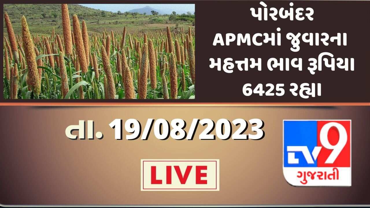 Mandi : પોરબંદરના APMCમાં જુવારના મહત્તમ ભાવ રૂપિયા 6425 રહ્યા, જાણો જુદા-જુદા પાકના ભાવ