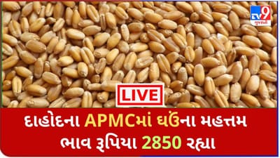Mandi : દાહોદના APMCમાં ઘઉંના મહત્તમ ભાવ રૂપિયા 2850 રહ્યા, જાણો જુદા-જુદા પાકના ભાવ