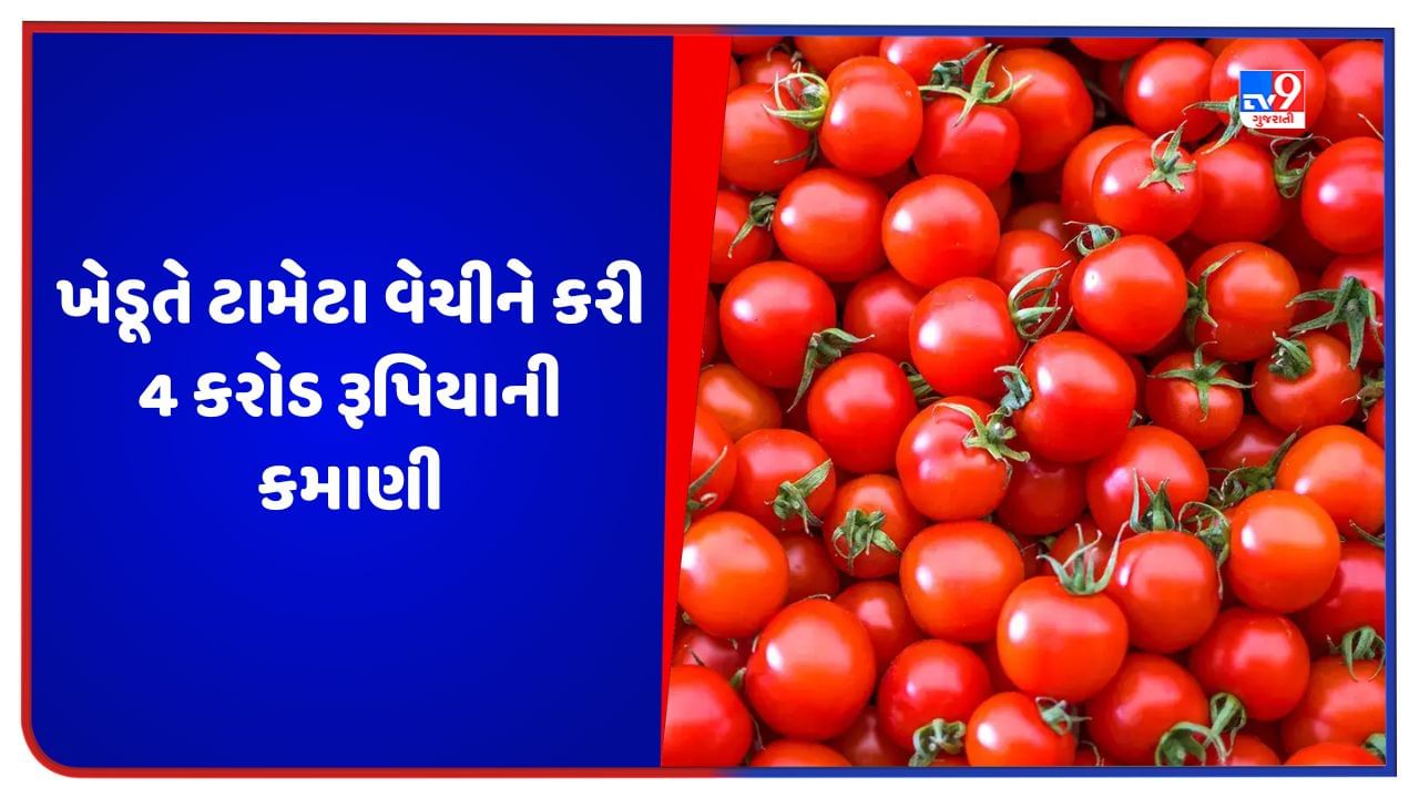 Success Story ખેડૂતે ટામેટા વેચીને 1.5 કરોડની લોન ચૂકવી, કમાણી જાણીને