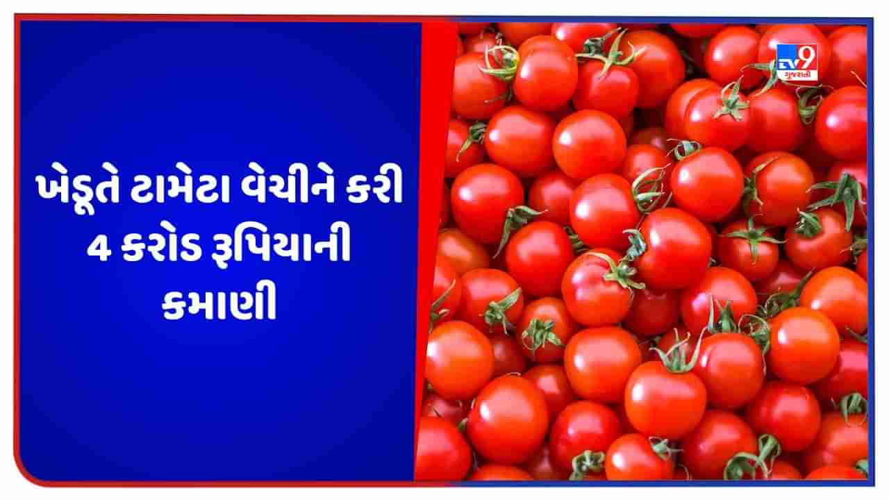 Success Story: ખેડૂતે ટામેટા વેચીને 1.5 કરોડની લોન ચૂકવી, કમાણી જાણીને તમે ચોંકી જશો!