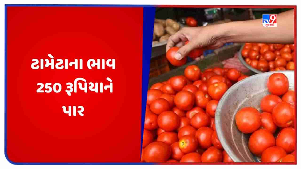 Tomato Price: દિલ્હીમાં ફરી ટામેટાના ભાવમાં વધારો થયો, 250 રૂપિયા પ્રતિ કિલોને પાર