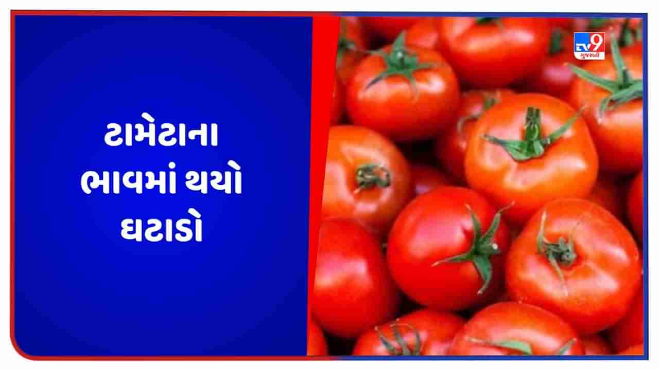 Tomato Price: દિલ્હીની સરખામણીએ અહીં ટામેટાના ભાવ અડધા થયા, જાણો કેટલી છે તેની કિંમત