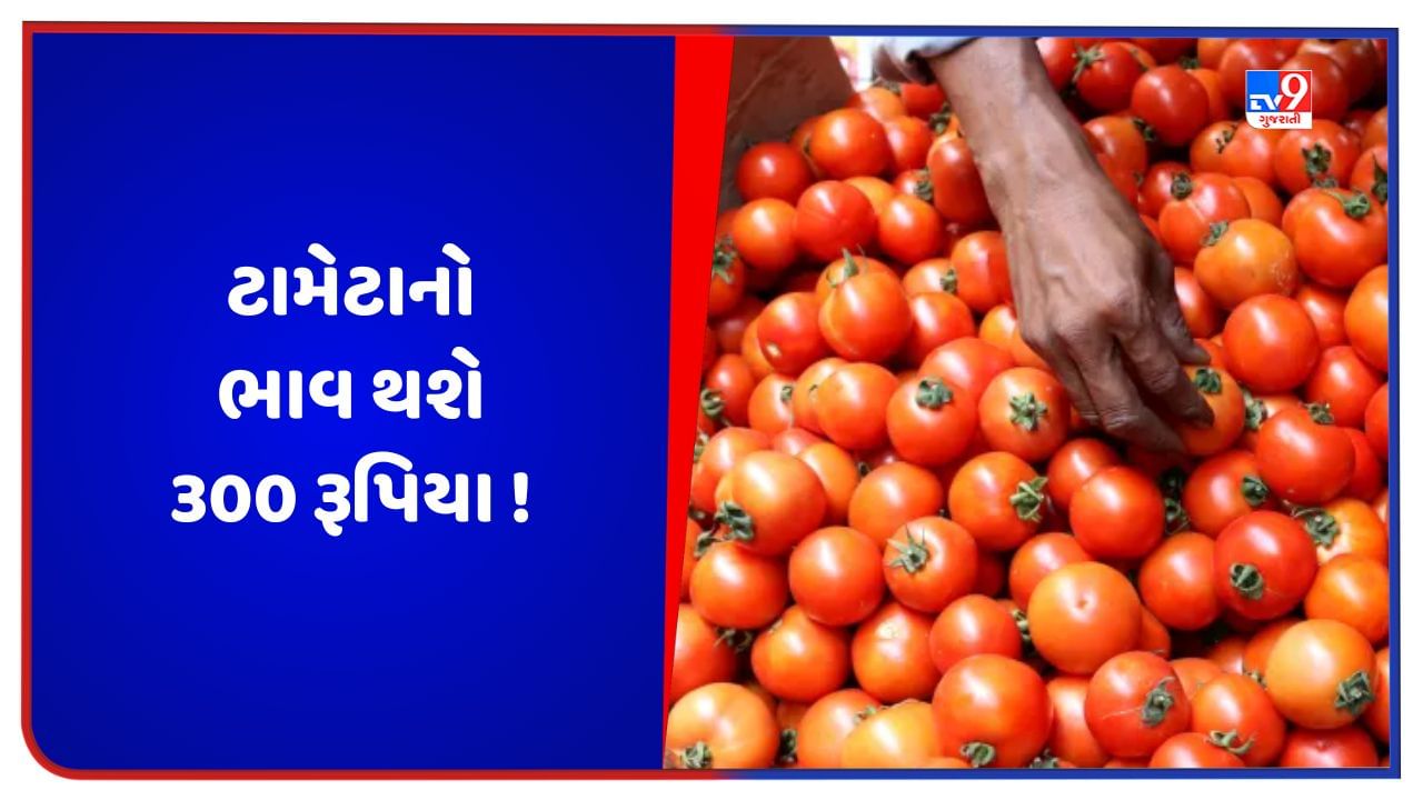 Tomato Price: મોંઘવારીનો વધુ એક માર ! ટામેટા આ મહિને પહોંચી શકે છે 300 રૂપિયાને પાર