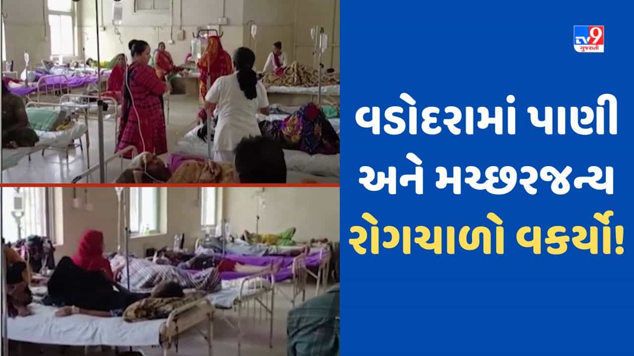 Vadodara: વડોદરામાં પાણી અને મચ્છરજન્ય રોગચાળો વકર્યો, ડેન્ગ્યૂ અને ચિકનગુનિયાના કેસ વધ્યા, જુઓ Video