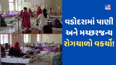 Vadodara: વડોદરામાં પાણી અને મચ્છરજન્ય રોગચાળો વકર્યો, ડેન્ગ્યૂ અને ચિકનગુનિયાના કેસ વધ્યા, જુઓ Video