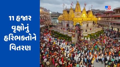 'મેરી મિટ્ટી મેરા દેશ' અંતર્ગત વડતાલ સ્વામિનારાયણ મંદિર દ્વારા 11 હજાર વૃક્ષોનું હરિભક્તોને વિતરણ