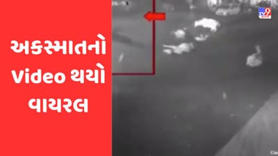 Valsad : ધરમપુર તાલુકાના હાથી ખાના વિસ્તારમાં રખડતા ઢોરના કારણે બાઈક ચાલકને નડ્યો અકસ્માત, અકસ્માતનો Video થયો વાયરલ Valsad : ધરમપુર તાલુકાના હાથી ખાના વિસ્તારમાં રખડતા ઢોરના કારણે બાઈક ચાલકને નડ્યો અકસ્માત, અકસ્માતનો Video થયો વાયરલ
