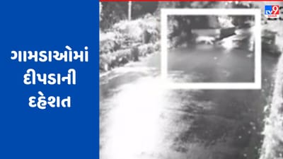 Gujarati Video : વલસાડ તાલુકાના ગામડાઓમાં દીપડાની દહેશત, વન વિભાગની ટીમે પાંજરુ ગોઠવી દીપડો પકડવાની કામગીરી હાથ ધરી Gujarati Video : વલસાડ તાલુકાના ગામડાઓમાં દીપડાની દહેશત, વન વિભાગની ટીમે પાંજરુ ગોઠવી દીપડો પકડવાની કામગીરી હાથ ધરી