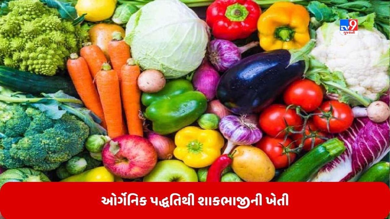 Success Story: મહિલા ખેડૂતે ઓર્ગેનિક પદ્ધતિથી કરી શાકભાજીની ખેતી, દર વર્ષે કરે છે લાખો રૂપિયાની કમાણી