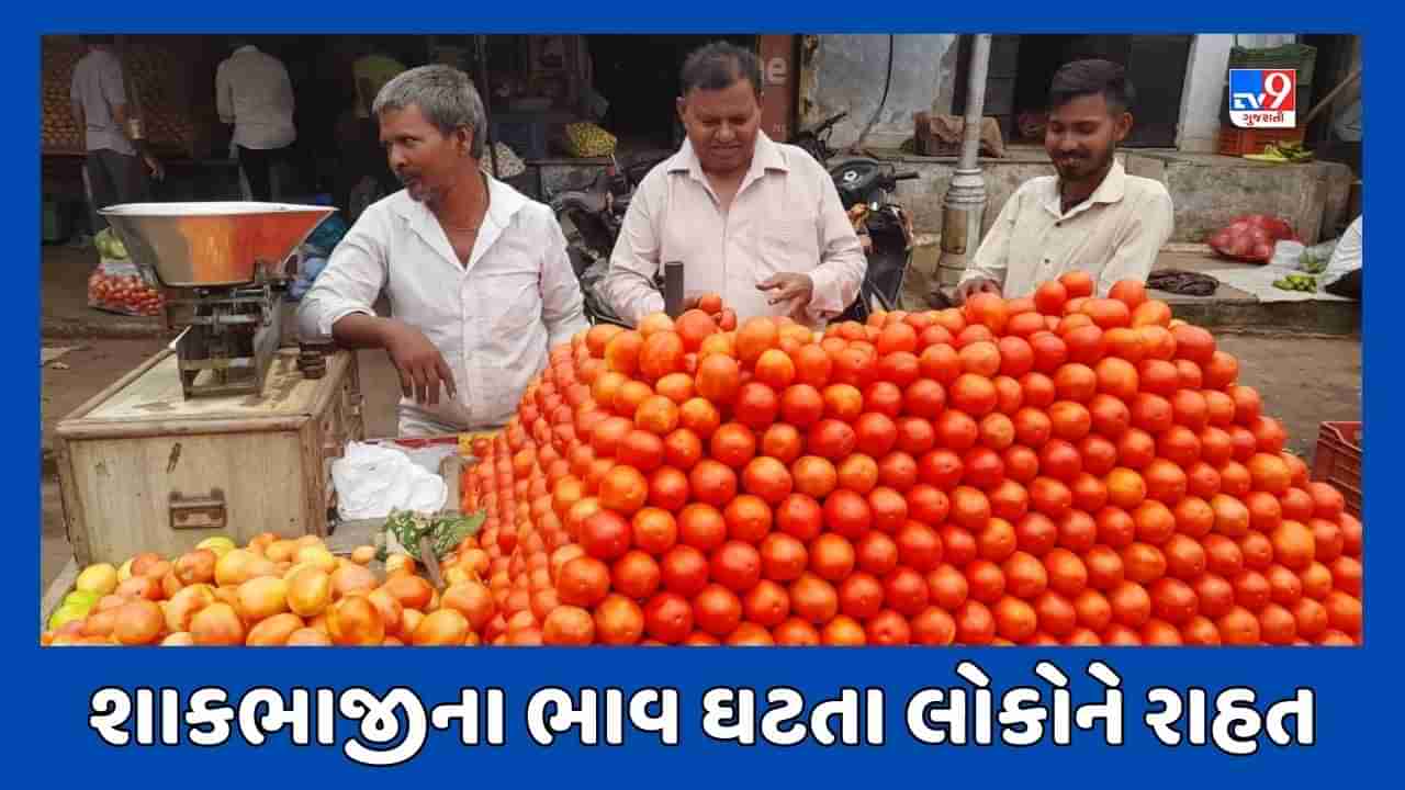 Ahmedabad : શાકભાજીના ભાવમાં ઘટાડો ! આવક વધતા હોલસેલ બજારમાં સસ્તું, રિટેઇલ બજારમાં હજુ મોઘું