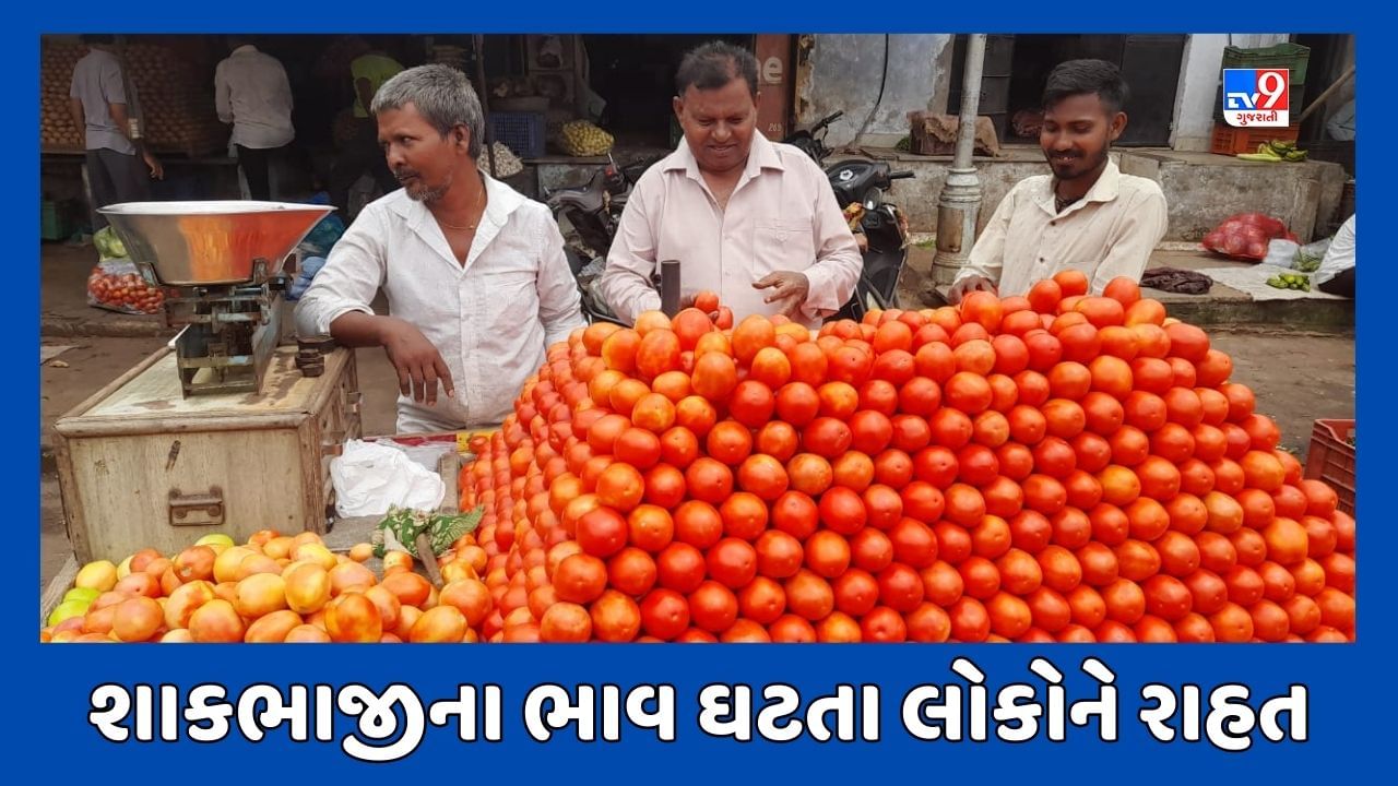 Ahmedabad : શાકભાજીના ભાવમાં ઘટાડો ! આવક વધતા હોલસેલ બજારમાં સસ્તું, રિટેઇલ બજારમાં હજુ મોઘું