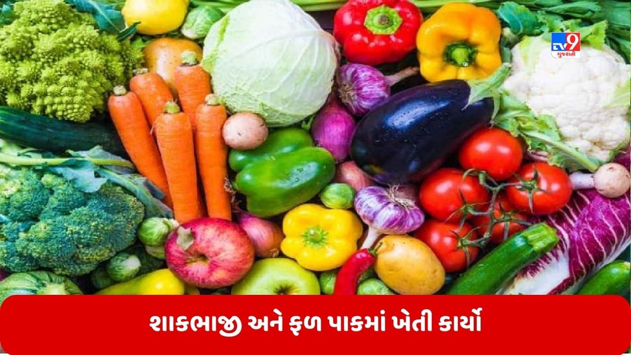 ખેડૂતોએ શાકભાજી અને ફળ પાકમાં રોગ-જીવાતના નિયંત્રણની સાથે આ ખેતી કાર્યો કરવા જોઈએ