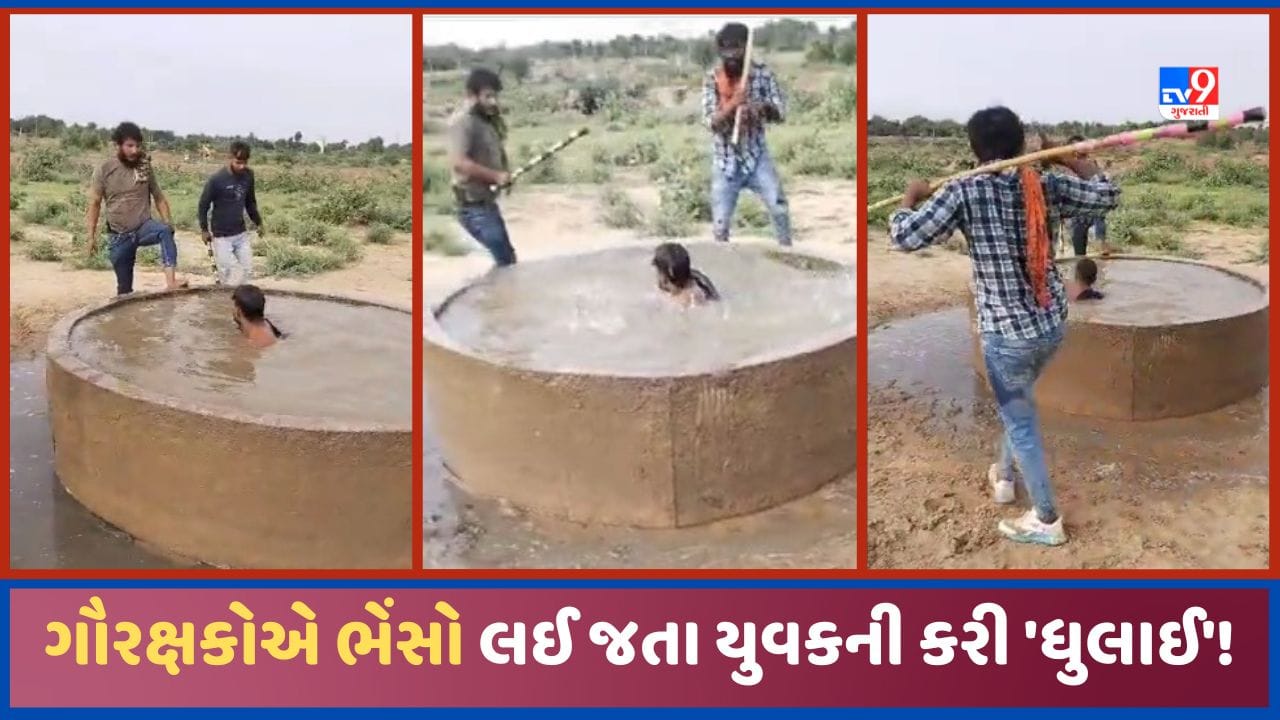 Banaskantha: દિયોદરમાં ગૌરક્ષકોએ યુવકની કરી ધોલાઈ, Video વાયરલ થતા પોલીસે કરી કાર્યવાહી Banaskantha: દિયોદરમાં ગૌરક્ષકોએ યુવકની કરી ધોલાઈ, Video વાયરલ થતા પોલીસે કરી કાર્યવાહી