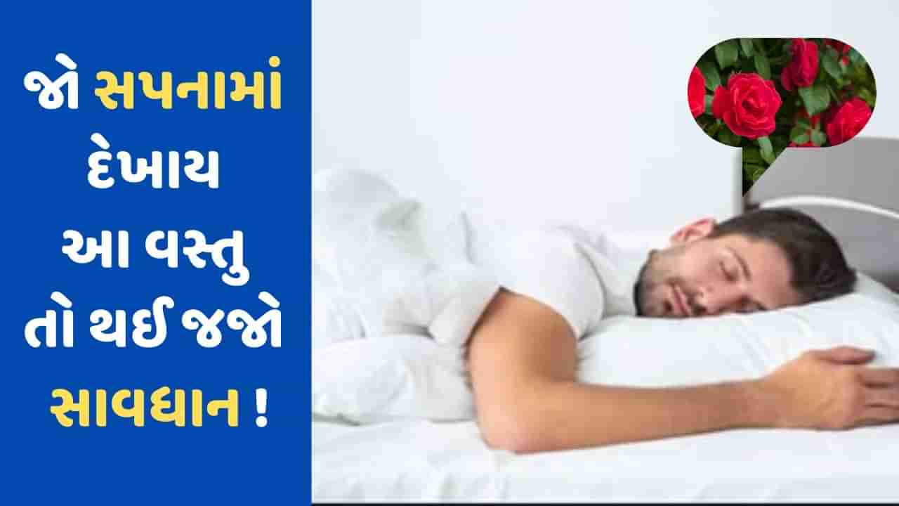 Dream Meaning: જો તમને સપનામાં આ 5 વસ્તુઓ દેખાય તો થઈ જજો સાવધાન !, ખરાબ સમયની શરુઆત પહેલાના છે આ સંકેત