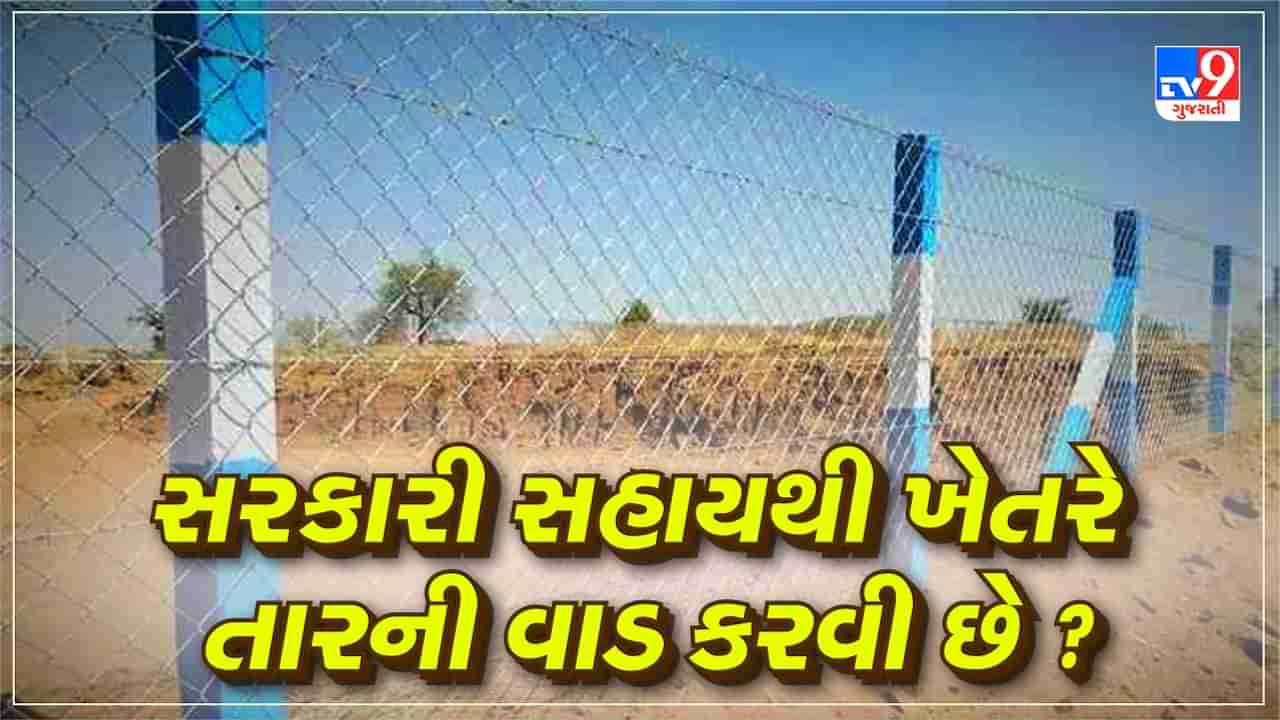 Govt Scheme : ખેતરે કાંટાળા તારની વાડ કરવી છે ? તો સરકારની આ યોજનાનો મેળવો લાભ