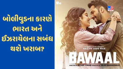 Bawaal Movie Controversy: હોલોકોસ્ટ શું હતું જેને ખોટું દર્શાવવા બદલ ભારતીય ફિલ્મ પર કેમ ગુસ્સે થયું ઇઝરાયેલ, પ્રતિબંધની કરી માગ, જુઓ Video