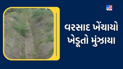 Botad: નહીં મળે પાણી તો મહેનત થાશે ધૂળધાણી, બોટાદમાં વરસાદ પાછો ખેંચાતા કેનાલમાં પાણી છોડવા ખેડૂતોની રજૂઆત, જુઓ Video