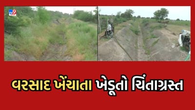 Gujarati Video: વરસાદ ખેંચાતા ખેડૂતોની કફોડી સ્થિતિ, રાણપુર તાલુકાના ખેડૂતોએ કેનાલમાં પાણી છોડવાની કરી માગ