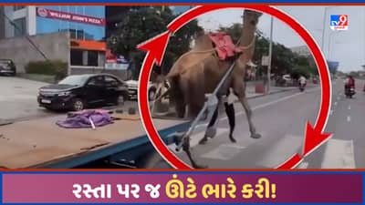 Surat: ઊંટે ભારે કરી! સુરતના રસ્તા પર લારી લઈને ભાગવા લાગતા સર્જાયો અકસ્માતનો ભય, ફિલ્મી સ્ટાઈલથી માલિકે કાબૂમાં લીધો, જુઓ Video