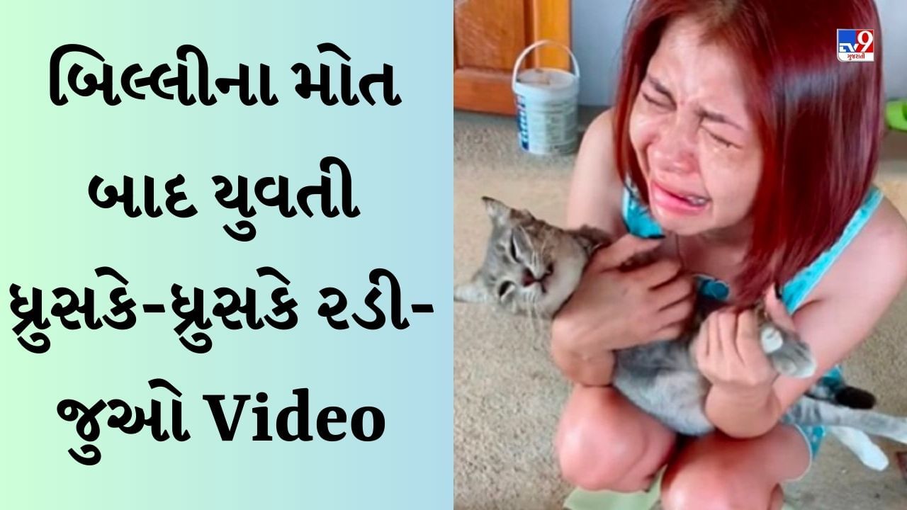 Animal Viral Video: પાલતુ બિલાડીના મોત બાદ યુવતી ધ્રુસકે-ધ્રુસકે રડી, આ જોઈને તમે પણ થઈ જશો ઈમોશનલ!